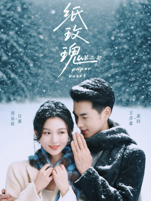 纸玫瑰第二部（80集）真的好看吗