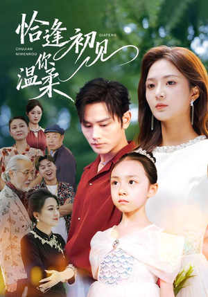 恰逢初见你温柔（86集）一起追短剧