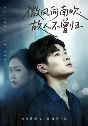 微风向南吹，故人不曾归（72集）短剧热门合集
