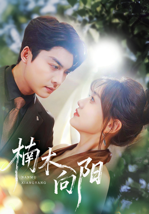 楠木向阳(70集) 楠木向阳(70集)全剧看到大结局