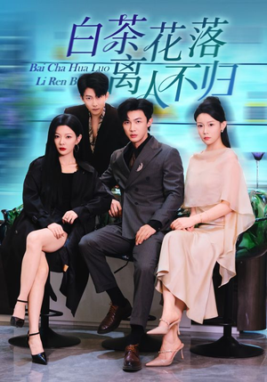 白茶花落离人（51集）迅雷网盘观看
