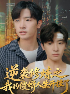 逆袭修炼之我的傻婿人生开挂了（65集）短剧介绍