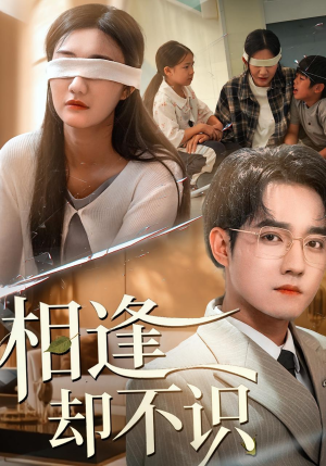 相逢却不识（77集）免费观看