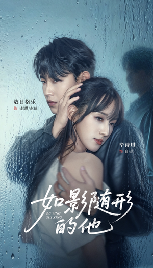 如影随形的他（30集）最火短剧热播中