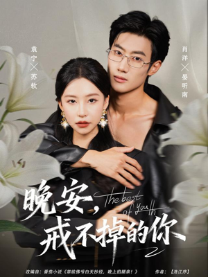 晚安，戒不掉的你（68集）短剧全集大结局