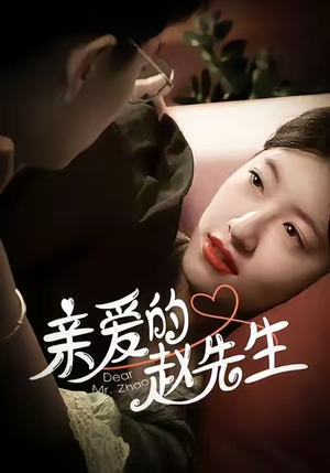 亲爱的赵先生（100集）全集