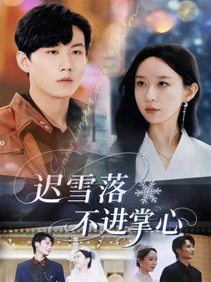 迟雪落不进掌心（79集）精彩好看的短剧