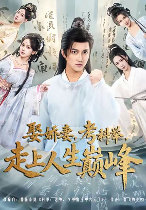 娶娇妻，考科举，走上人生巅峰（80集）男主角是谁