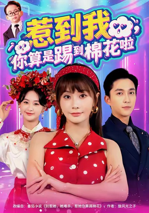 惹到我，你算是踢到棉花啦（67集）在哪看是免费的