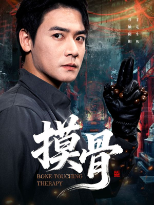 摸骨（74集）短剧