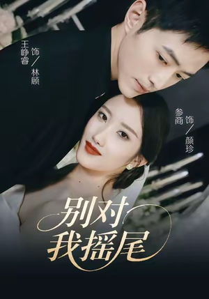 别对我摇尾（59集）短剧在哪个平台