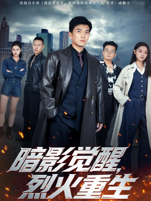 暗影觉醒，烈火重生（80集）哪个网站可以看
