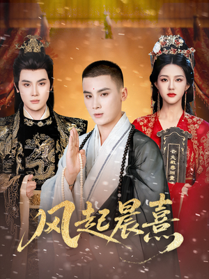 风起晨熹（63集）在线看