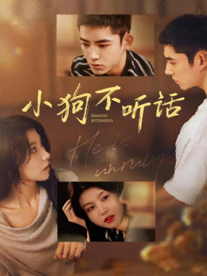 小狗不听话（70集）男主角是谁