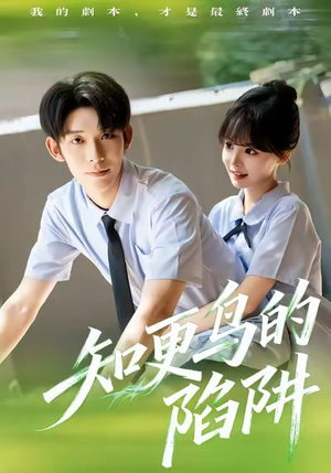 知更鸟的陷阱（58集）短剧追不停