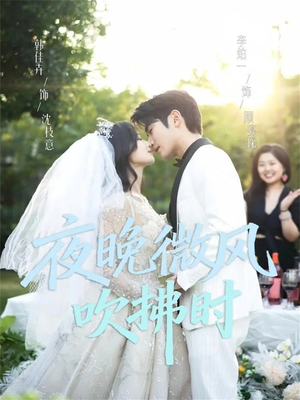 夜晚微风吹拂时（61集）短视频追剧推荐