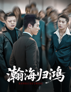 瀚海归鸿（74集）越看越好看短剧