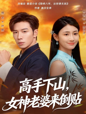 高手下山，女神老婆来倒贴（80集）热门短剧排行榜