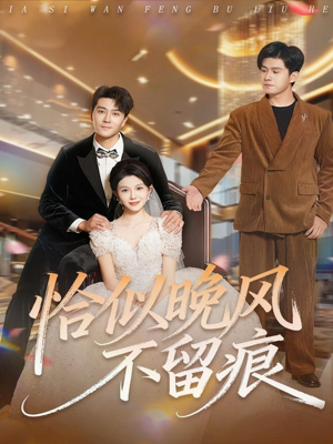 恰似晚风不留痕(61集) 恰似晚风不留痕(61集)看到了大结局