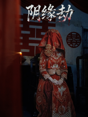 阴缘劫（25集）海量资源免费看