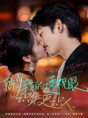 顾少我的透视眼识货更识人（64集）全集免费