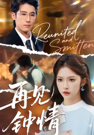 再见钟情(100集) 再见钟情(100集)第一集