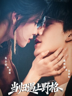 当归遇上野格（66集）最新短剧抢先看