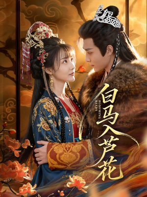 白马入芦花(59集) 白马入芦花(59集)一口气看完全集