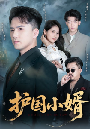 护国小婿(60集) 护国小婿(60集)好看的短剧