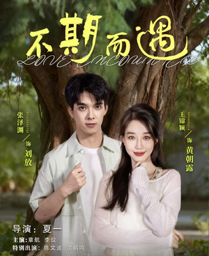 不期而遇(62集) 不期而遇(62集)热门短剧在线看