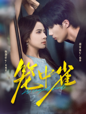 笼中雀(65集) 笼中雀(65集)免费短剧完整版