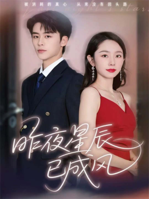 昨夜星辰已成风(75集) 昨夜星辰已成风(75集)温柔追捕短剧