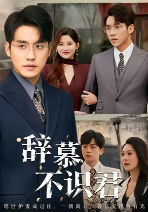辞慕不识君(77集) 辞慕不识君(77集)全集免费看短剧