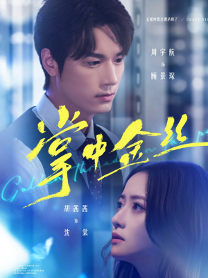 长姐她竟是隐藏大佬(60集) 长姐她竟是隐藏大佬(60集)在线观看完整版