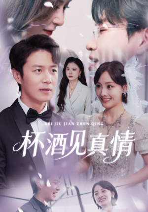 杯酒见真情(68集) 杯酒见真情(68集)贝贝短剧分享