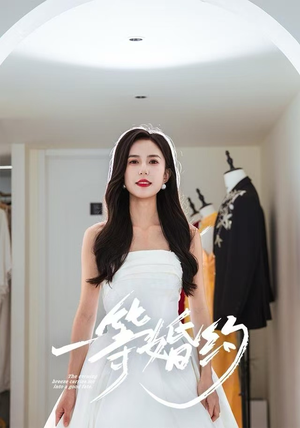 一等婚约(37集) 一等婚约(37集)全集