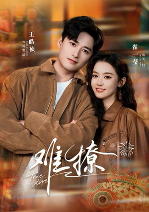 难撩(100集) 难撩(100集)看到大结局