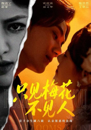 只见梅花不见人（63集）古装短剧推荐