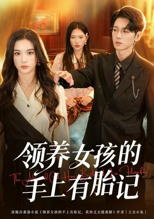 领养女孩的手上有胎记（60集）夸克网盘在线看