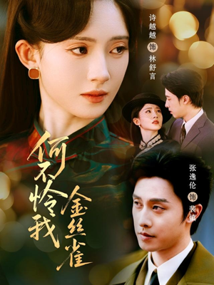 何不怜我金丝雀（60集）追短剧关注我