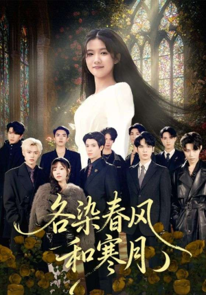 尘埃里的真千金（67集）每天分享短剧