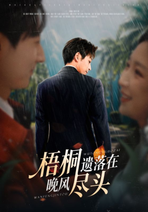 梧桐遗落在晚风尽头（71集）在哪看