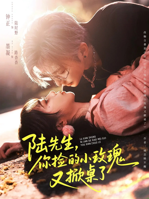 陆先生，你捡的小玫瑰又掀桌了（74集）精彩好看的短剧