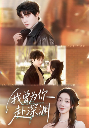 我曾为你赴深渊（63集）热播短剧分享