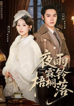 夜雨霖铃梧桐落(51集) 夜雨霖铃梧桐落(51集)演员表