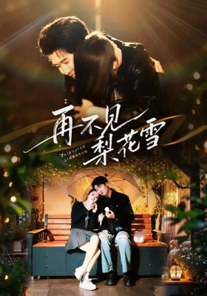 再不见梨花雪（70集）热门火爆短剧
