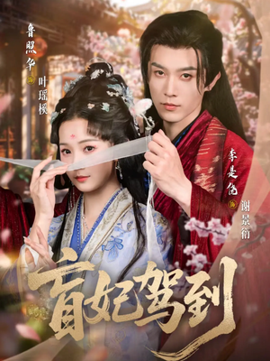 盲妃驾到（65集）真的好看吗