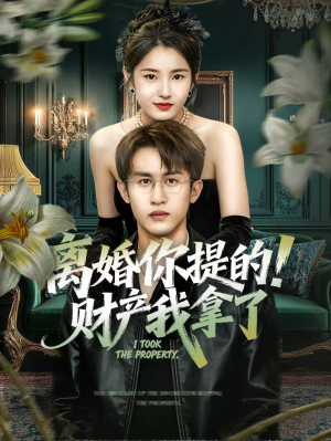 离婚你提的！财产我拿了（63集）高分佳作免费看