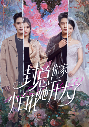 大佬你的牙粘口红了（60集）独家资源免费看