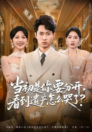 当初是你要分开，看到遗产怎么哭了？（70集）短剧中追到爽